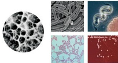 雅净生物降解系列——多功能型